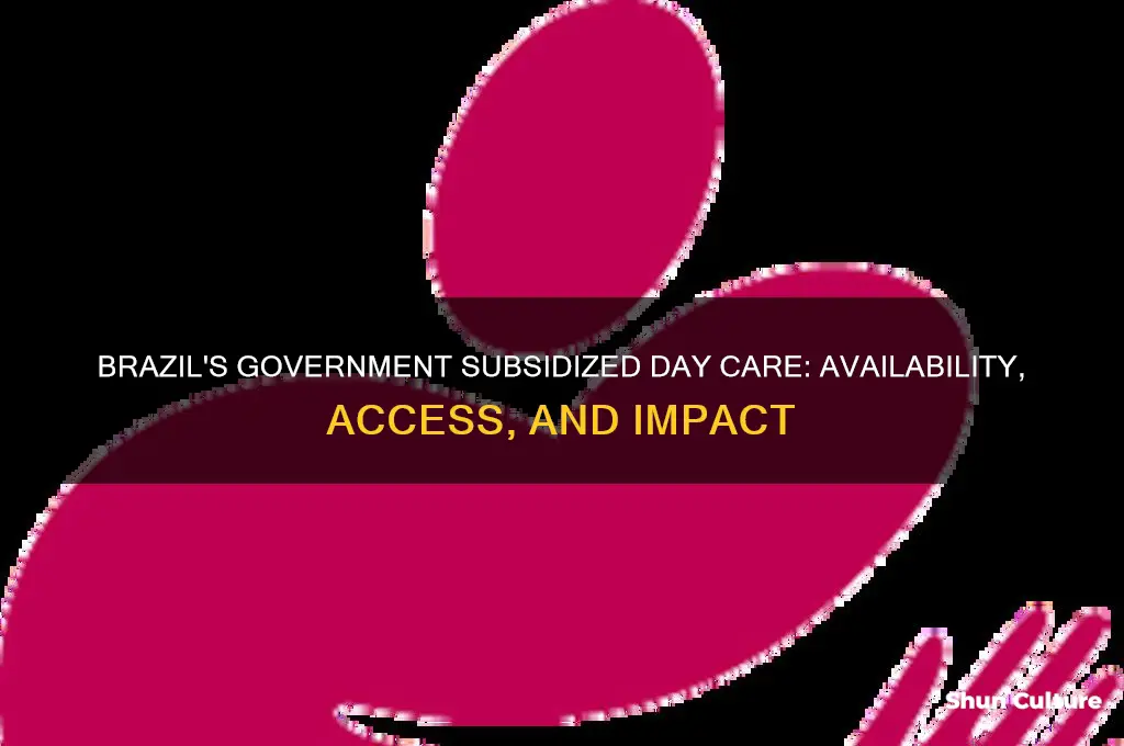 does brazil have government subsidized day care