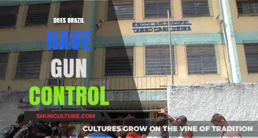 Brazil's Gun Control Laws: Balancing Public Safety and Citizen Rights