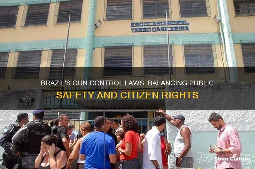 does brazil have gun control