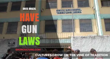 Brazil's Gun Laws: Understanding Regulations and Restrictions in the Country