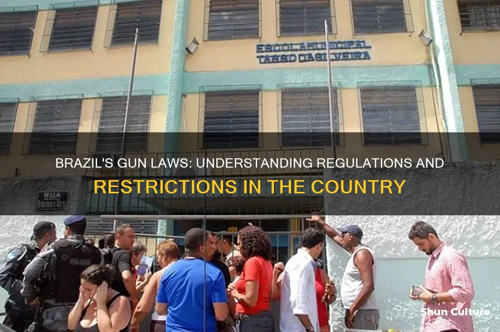 does brazil have gun laws