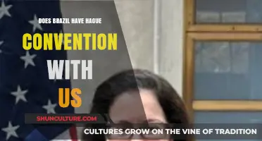 Brazil and the US: Hague Convention Status Explained