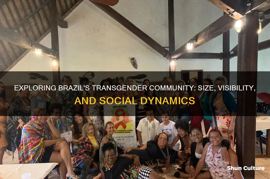 does brazil have have many transgenders
