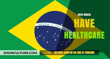 Brazil's Healthcare System: Access, Challenges, and Universal Coverage Explained