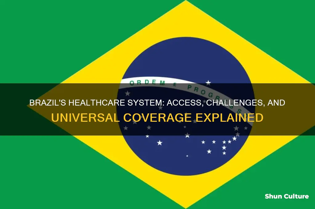 does brazil have healthcare