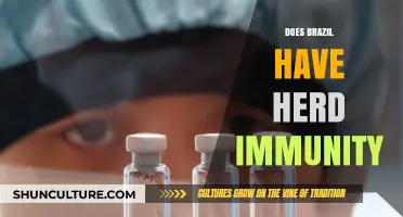 Brazil's COVID-19 Herd Immunity: Myth or Reality?