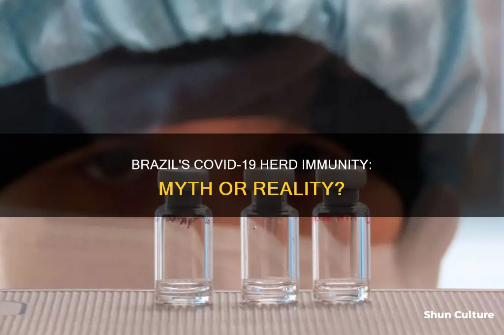 does brazil have herd immunity