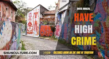 Brazil's Crime Rates: Uncovering the Truth Behind the Headlines