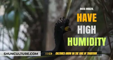 Brazil's Humidity Levels: Exploring the Tropical Climate's Moisture and Impact