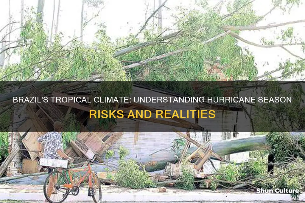does brazil have hurricane season