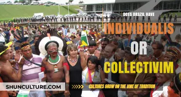 Brazil's Cultural Identity: Individualism vs. Collectivism – Which Dominates?