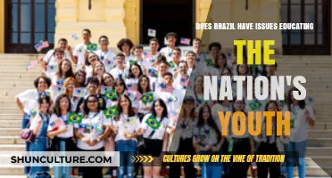Brazil's Youth Education Crisis: Challenges and Potential Solutions