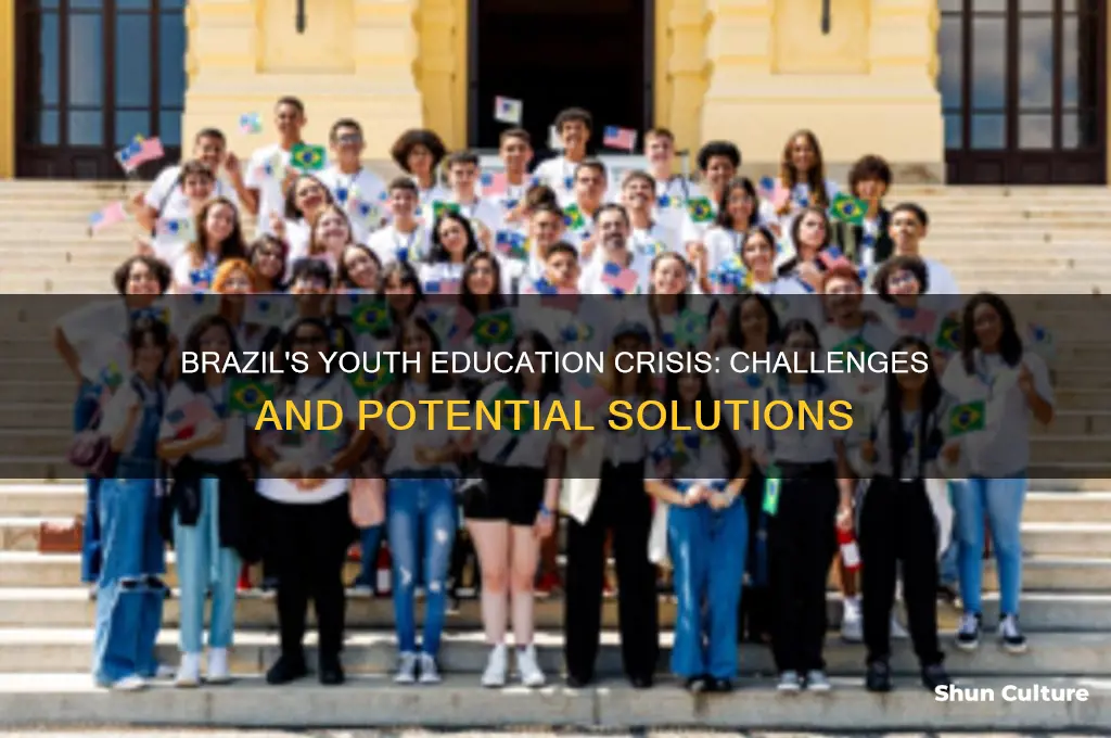 does brazil have issues educating the nation