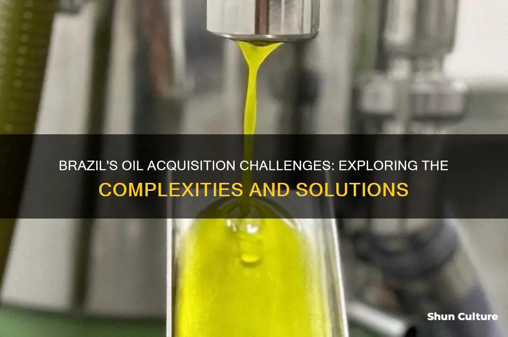 does brazil have issues with acquiring oil