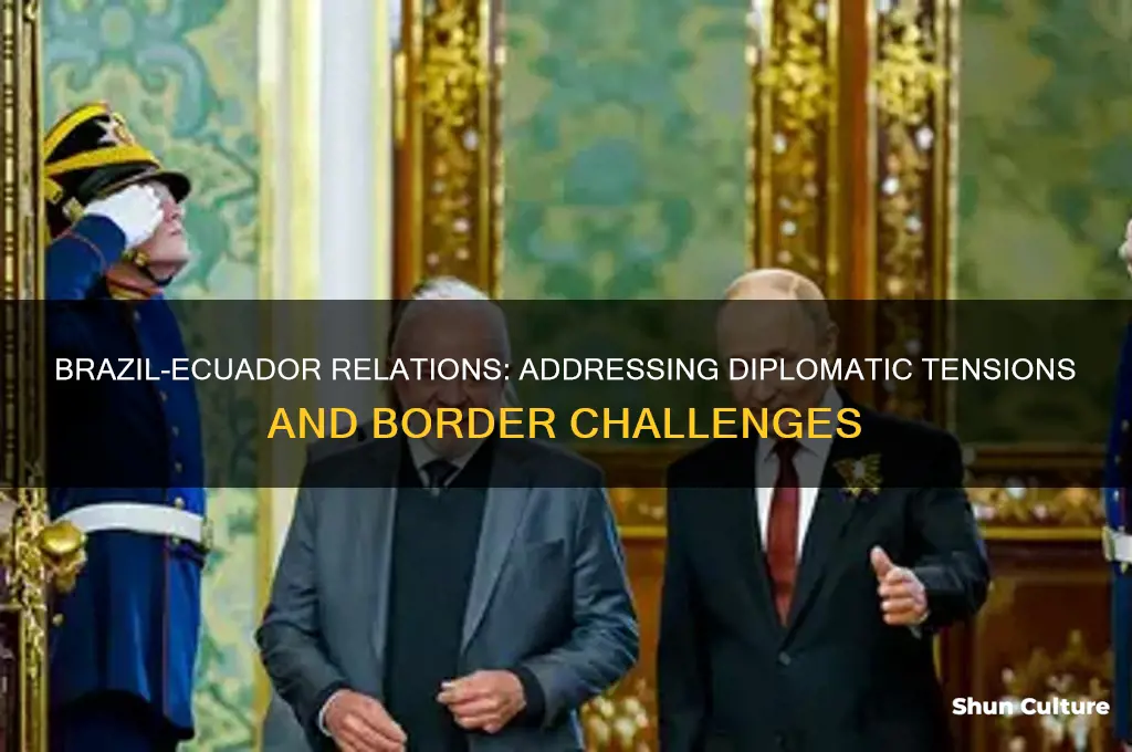 does brazil have issues with ecuador