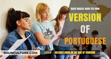 Brazil's Unique Portuguese: Exploring Language Variations and Cultural Influences
