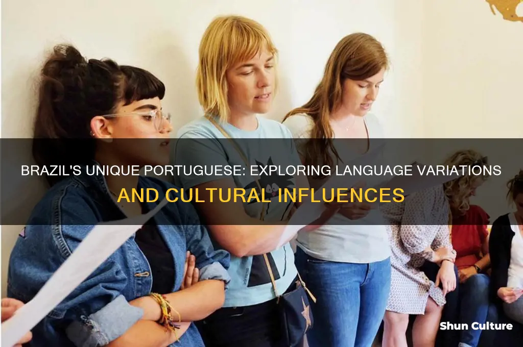 does brazil have its own version of portuguese