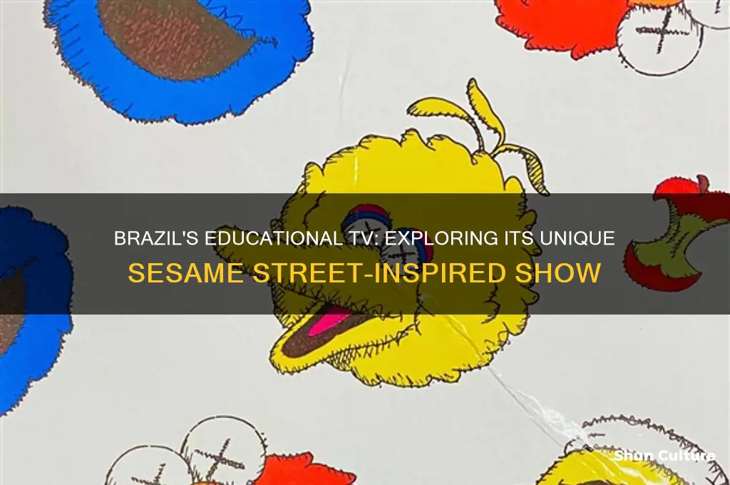 does brazil have its own version of sesame street