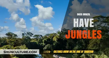 Exploring Brazil's Lush Jungles: Myths, Facts, and Biodiversity Hotspots