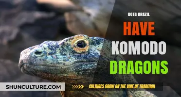 Do Komodo Dragons Exist in Brazil? Unraveling the Myth and Facts