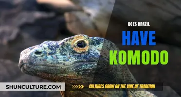 Does Brazil Have Komodo Dragons? Exploring the Myth and Reality