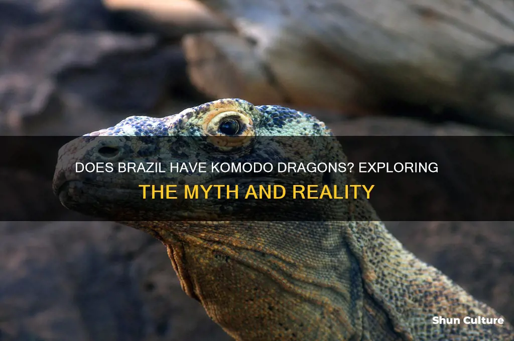 does brazil have komodo