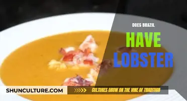 Exploring Brazil's Seafood: Are Lobsters Part of the Coastal Cuisine?