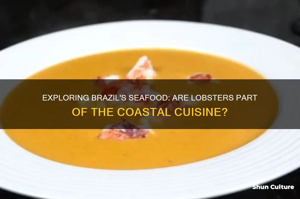 does brazil have lobster