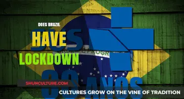 Brazil's Lockdown Measures: Impact, Effectiveness, and Public Response Explained