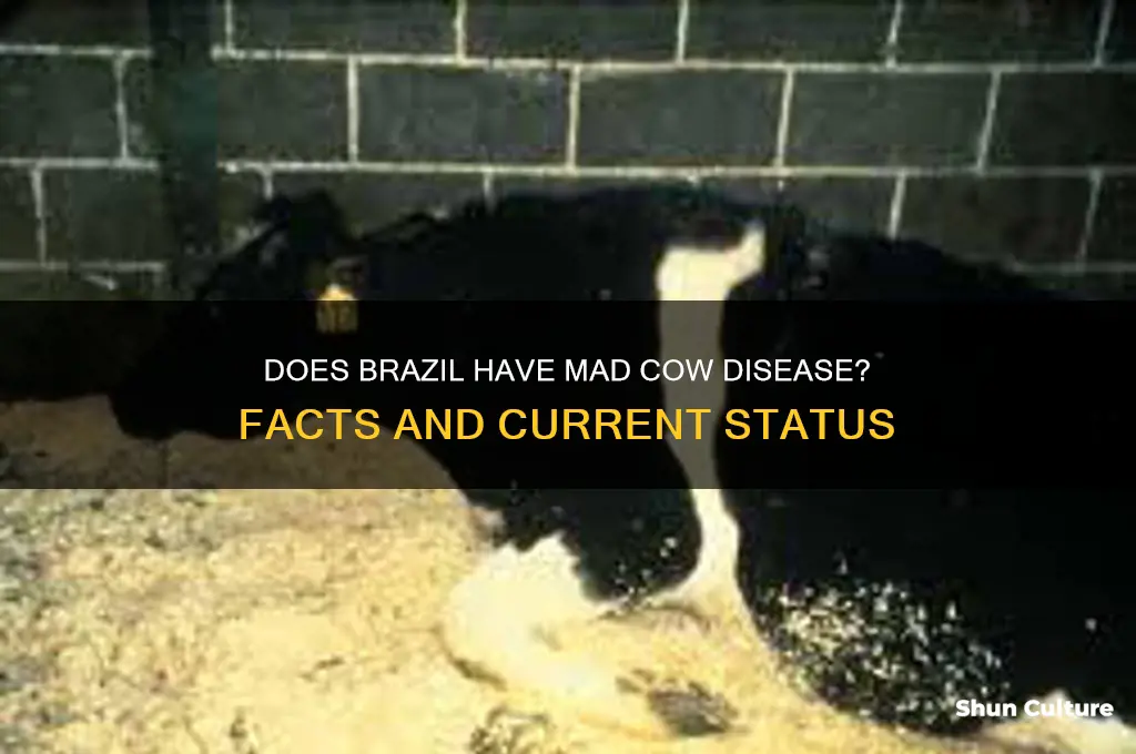 does brazil have mad cow disease