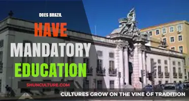 Brazil's Education System: Is Schooling Compulsory for All Children?