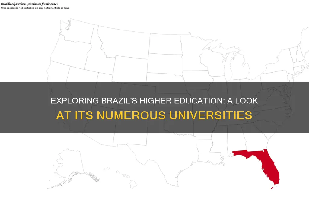 does brazil have many universities