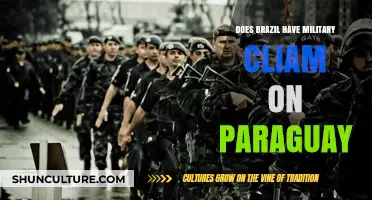 Brazil's Military Influence: Does It Extend to Paraguay's Sovereignty?