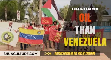 Brazil vs. Venezuela: Comparing Oil Reserves and Production Dominance