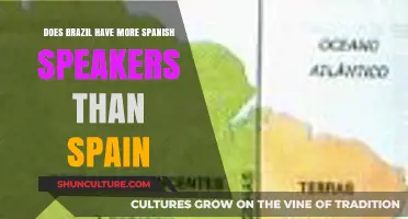 Brazil vs. Spain: Which Country Has More Spanish Speakers?