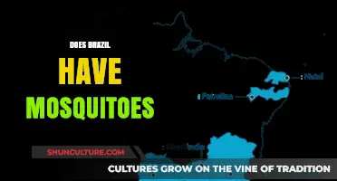 Do Mosquitoes Exist in Brazil? Exploring the Truth Behind the Buzz