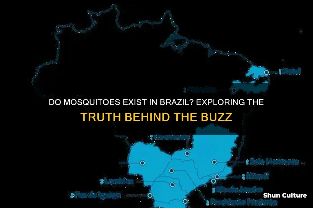 does brazil have mosquitoes