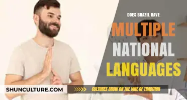 Exploring Brazil's Linguistic Diversity: One Nation, Multiple Languages?