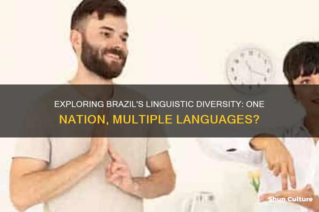 does brazil have multiple national languages