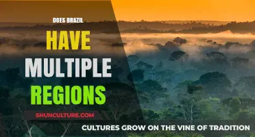 Exploring Brazil's Diverse Regions: A Comprehensive Guide to Its Varied Landscapes