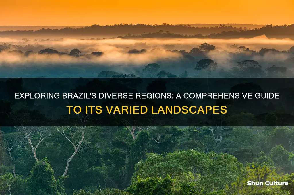 does brazil have multiple regions