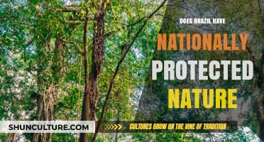 Brazil's Nationally Protected Nature: Conservation Efforts and Biodiversity Preservation