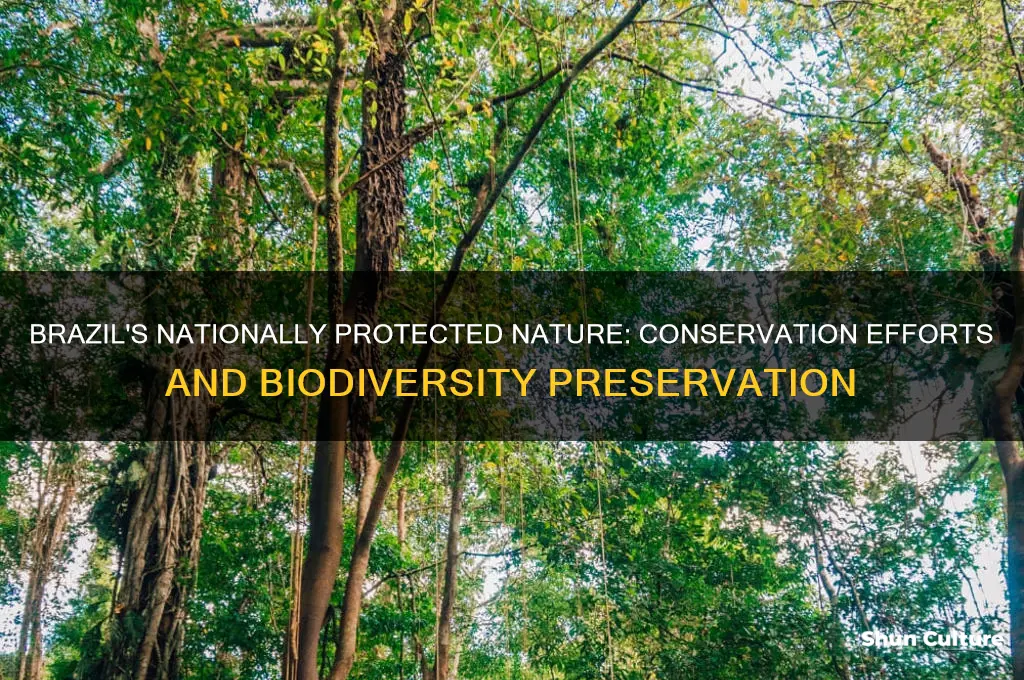 does brazil have nationally protected nature
