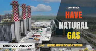 Brazil's Natural Gas Reserves: Exploring the Country's Energy Potential