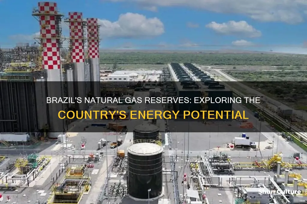 does brazil have natural gas