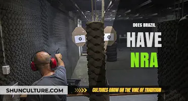 Does Brazil Have an NRA? Exploring Gun Rights and Advocacy