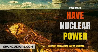 Brazil's Nuclear Power: Current Status, Capabilities, and Future Prospects
