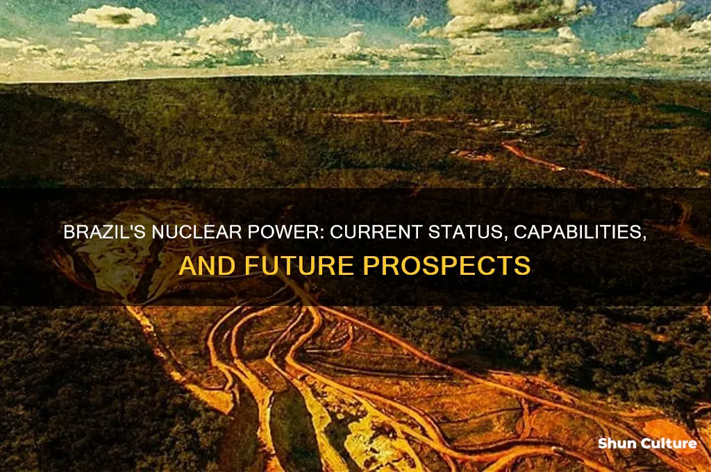 does brazil have nuclear power
