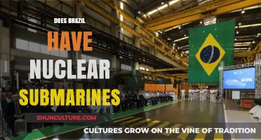 Brazil's Nuclear Submarine Ambitions: Current Status and Future Prospects