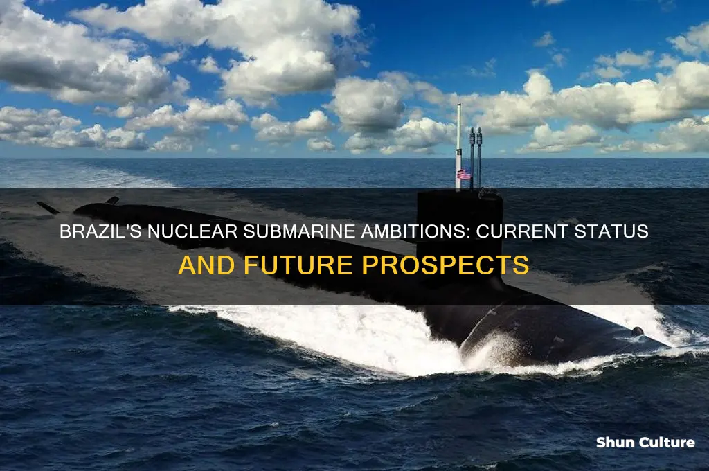 does brazil have nuclear submarines